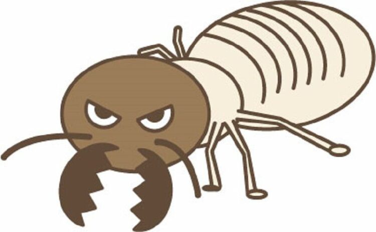 シロアリはコンクリートでも関係ない？もしかしたら侵入されるかも…