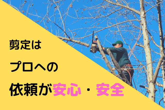 きれいな庭木を保つために剪定はプロに任せよう