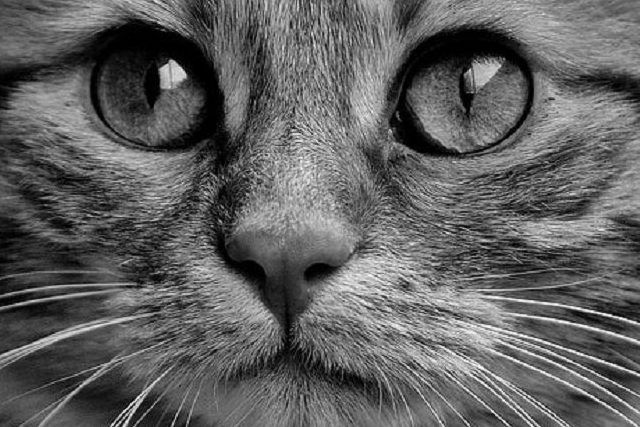 遺骨を保管する方法