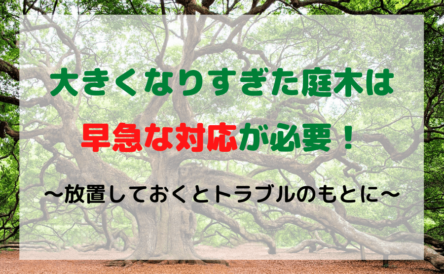 【危険】大きくなりすぎた庭木はトラブルのもとに!剪定・伐採時期や手入れ方法を紹介