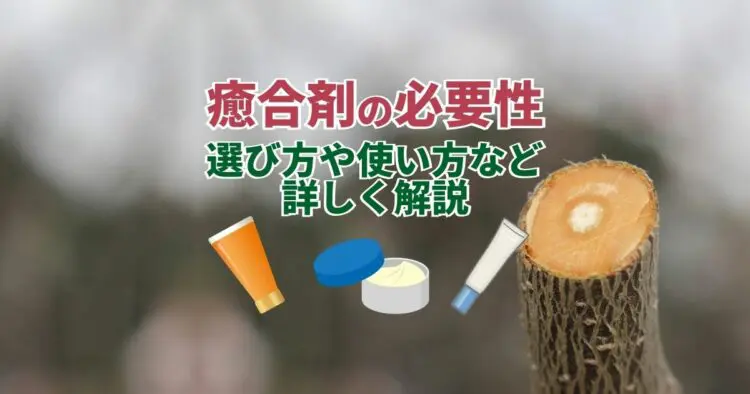 剪定後の切り口に『癒合剤』は必要?使い方と選び方について