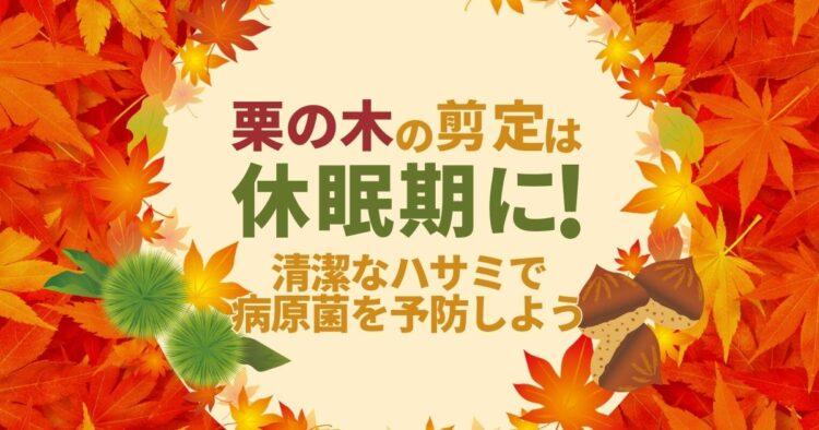 栗の木の剪定は時期が大切!剪定方法と栽培する際のポイントについて