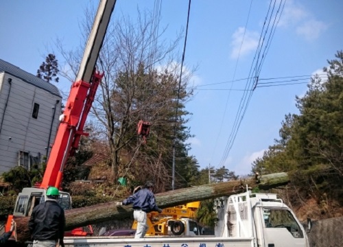 チルホールの使用手順