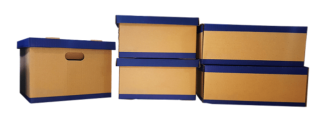 愛犬に死後硬直が始まったら、どうやって安置する？