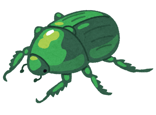 オリーブの木につく害虫⑥コガネムシ