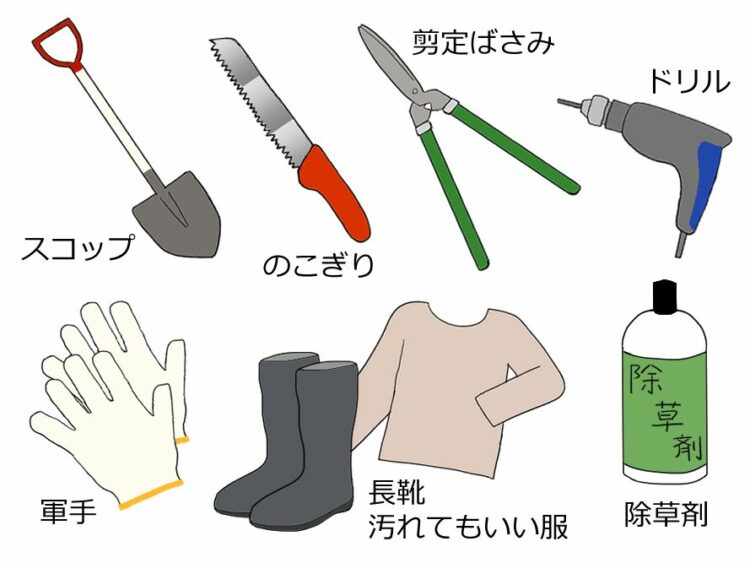 根の除去で準備する道具