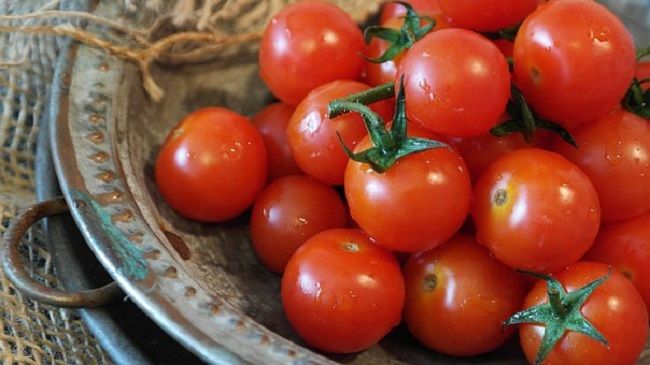 芯止まり性のトマトは剪定のタイミングが違う