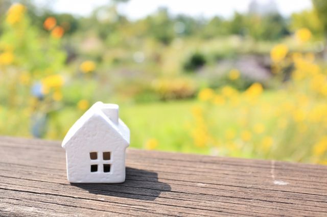 シロアリの行動と性質