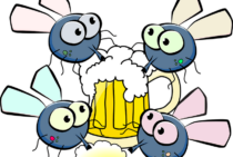 ハエの卵はすぐに孵化する！？放置していると大量発生することも…