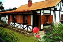 家の外にも注意！ムカデ対策を室内に施すことの重要性と方法【総まとめ】