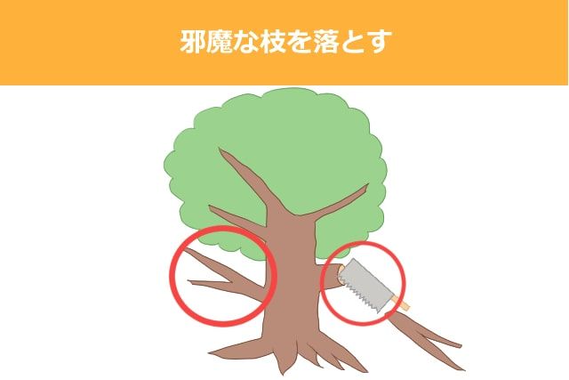 邪魔な枝を落とす