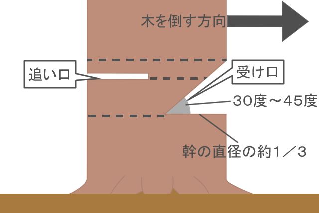【3】切り口を入れる