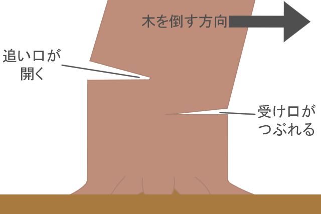 【4】木を倒す
