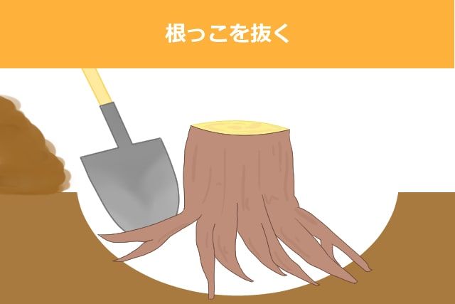 根っこを抜く