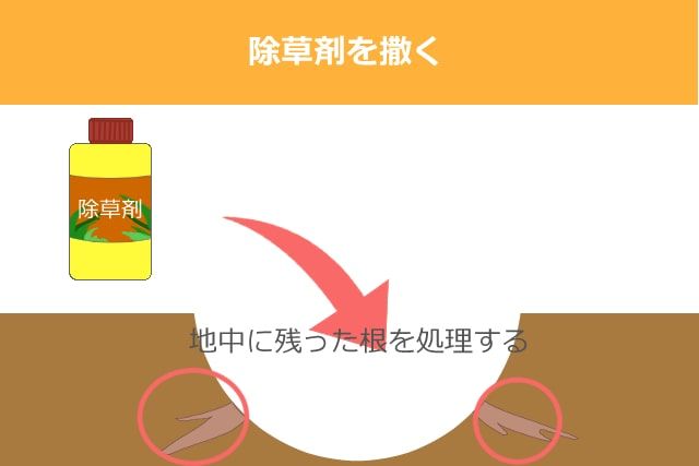 除草剤をまく