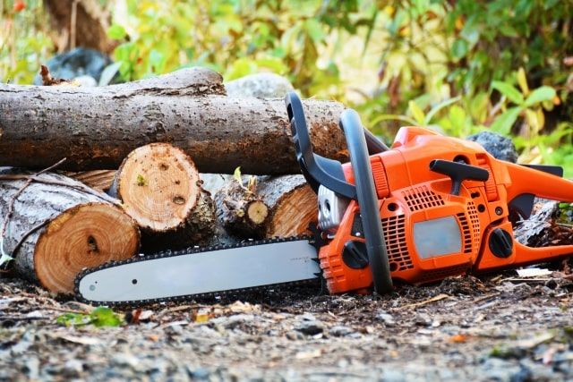 庭木の伐採に必要な道具