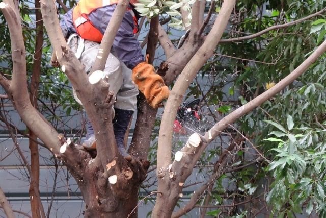 空師が使用する道具