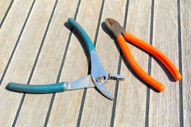 イタチの捕獲に便利な道具や罠
