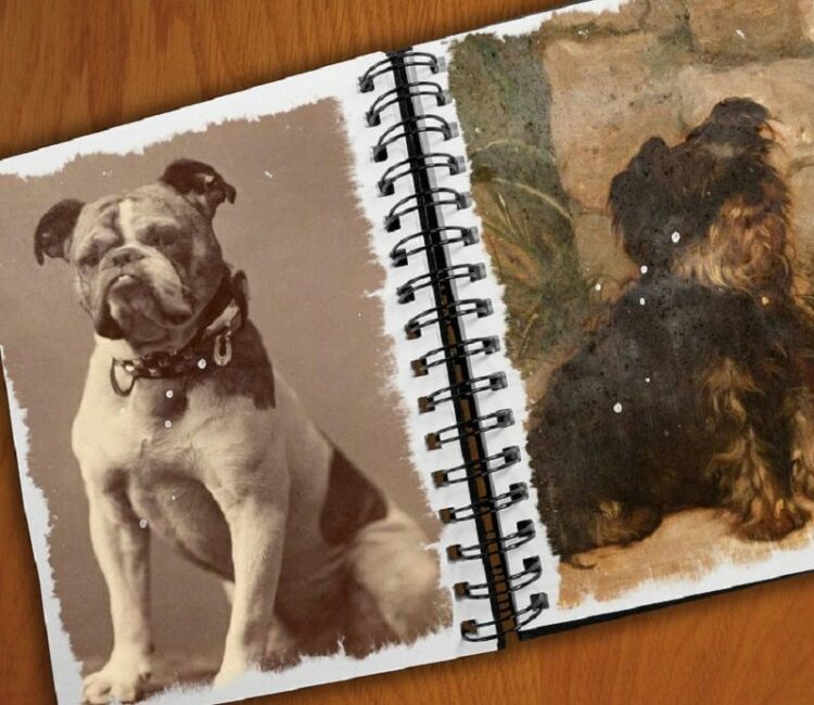 ペットに位牌は必要なのか…正解のない様々なペット供養の形について