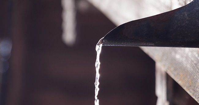 ハエはどこからやってくるのか