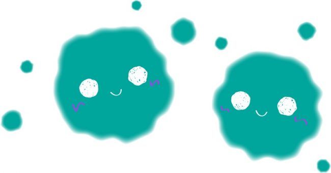 ユニットバスを掃除してカビを発生させないようにしよう