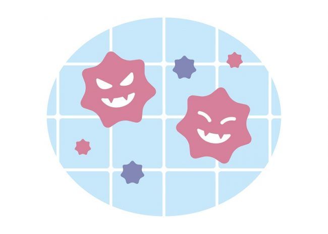 ピンクカビの正体とは？