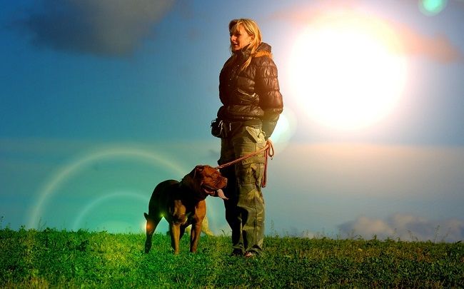 愛犬のペットが虹の橋で待っている?皆に勇気を与えた『虹の橋』とは