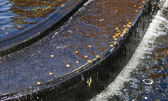 水道管破裂での水道料金は払わなければいけないの？