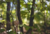 まずは落ち着いて冷静に！鍵を探す手順と見つかりやすい場所