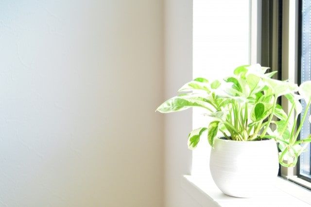 壁を断熱するメリット