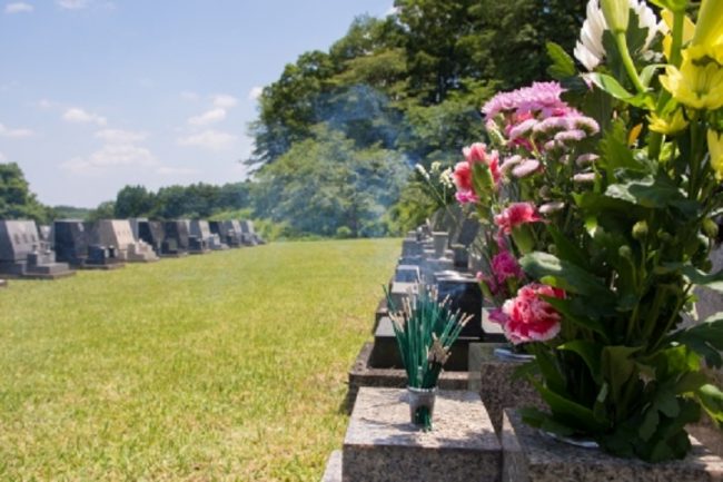 猫のお葬式の方法と手順