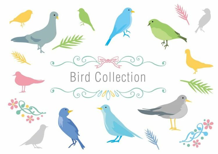 鳥よけの必要がある鳥の種類について