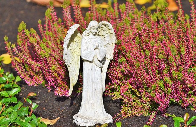 犬の骨を分骨したい。分骨するときの注意と手順