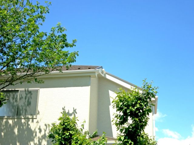 我が家のゴキブリを絶滅させろ！ゴキブリを根絶やしにする4つの戦略