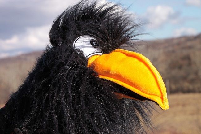 カラスにはエアガンではなくカラスよけなどを使用しましょう