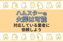ハムスターの火葬方法｜かかる料金の相場や依頼先の選び方