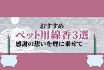 ペットに線香をあげよう│線香をあげる手順や意味、注意点も同時解説