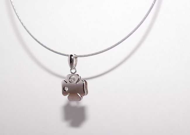 猫のお葬式から帰宅した後は