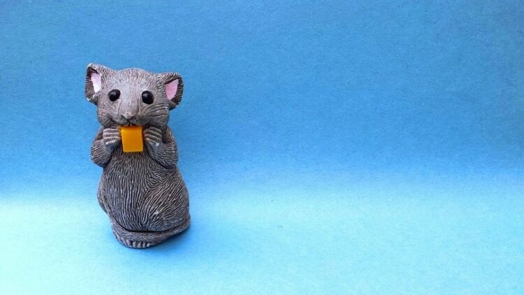 【ねずみの侵入口の探し方】家の要チェック箇所とラットサイン