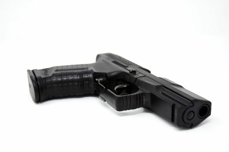 カラス被害が止まらない！カラスにエアガン撃って退治していいの？