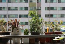 絶対に侵入させない！ベランダ防犯対策3選＆いざというときの対処法