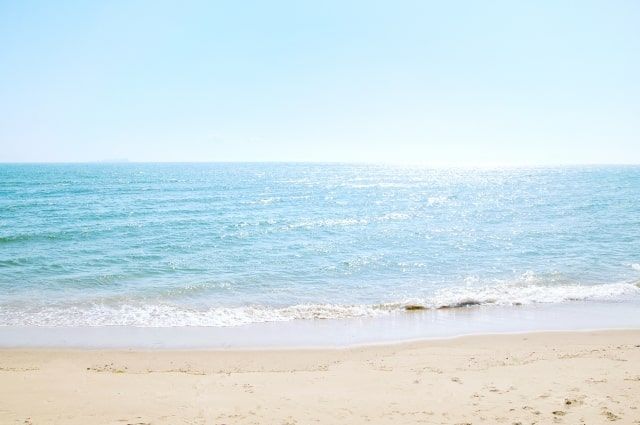 ペットに散骨葬が選ばれる理由