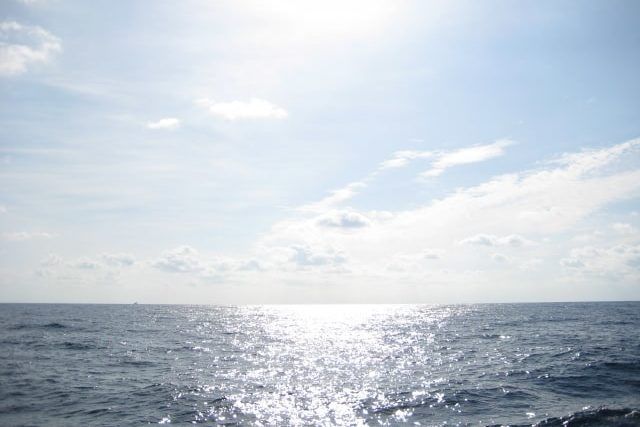 ペットの海洋散骨はトラブルが少ない