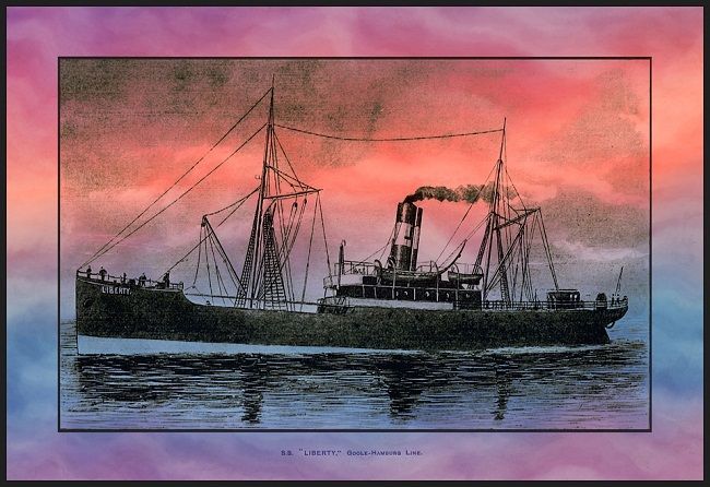 猫にも生まれ変わりはあるのか