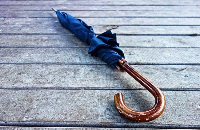 ゴキブリが大量発生しやすい時期