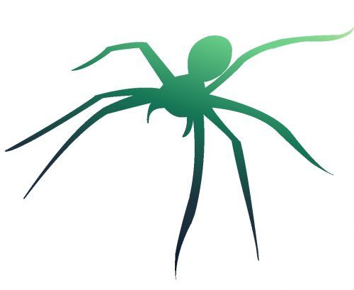 女郎蜘蛛には毒がある？家に女郎蜘蛛の巣ができたらどうすればいい？