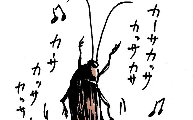 ゴキブリは脱皮を繰り返して成長します…