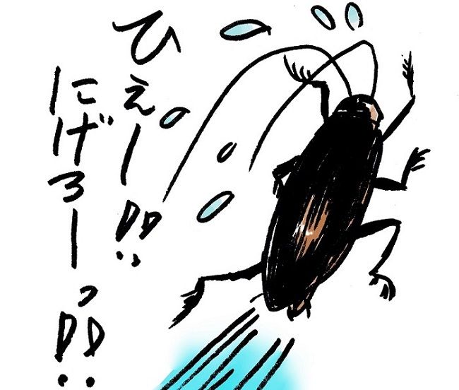 ゴキブリの天敵はたくさんいる？ 