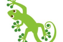 ヤモリの出る家はゴキブリがいなくなる？食べてくれるか真偽を解説