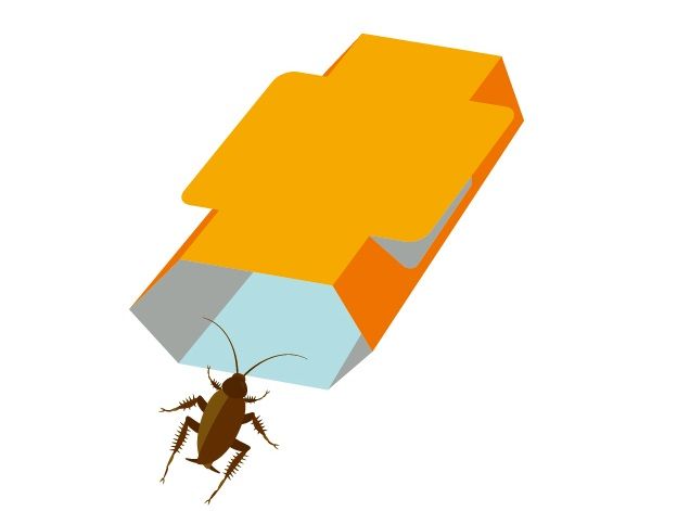 ゴキブリ対策は猫に有害なことも